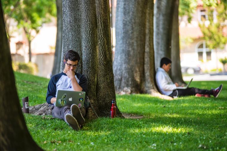 Student studying against a tree