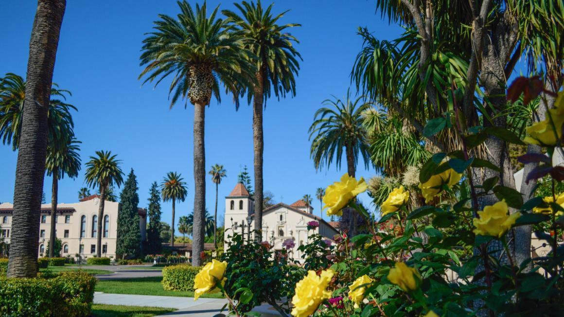 Mission Church behind palm trees