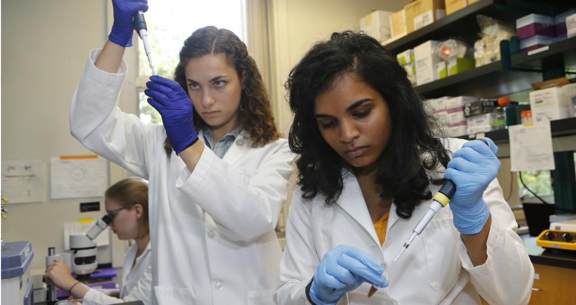 Students working in biology lab. 