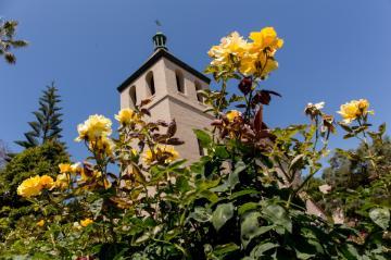 Flowers at Santa Clara