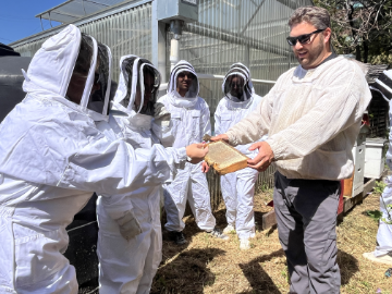 Students at a workshop in beekeeper suits looking at a honeycomb