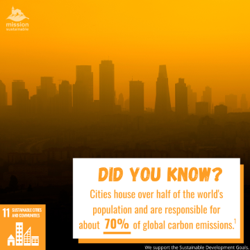 SCCAP Neighborhood Perspectives department 