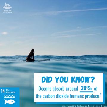 Surfrider Foundation SCU 