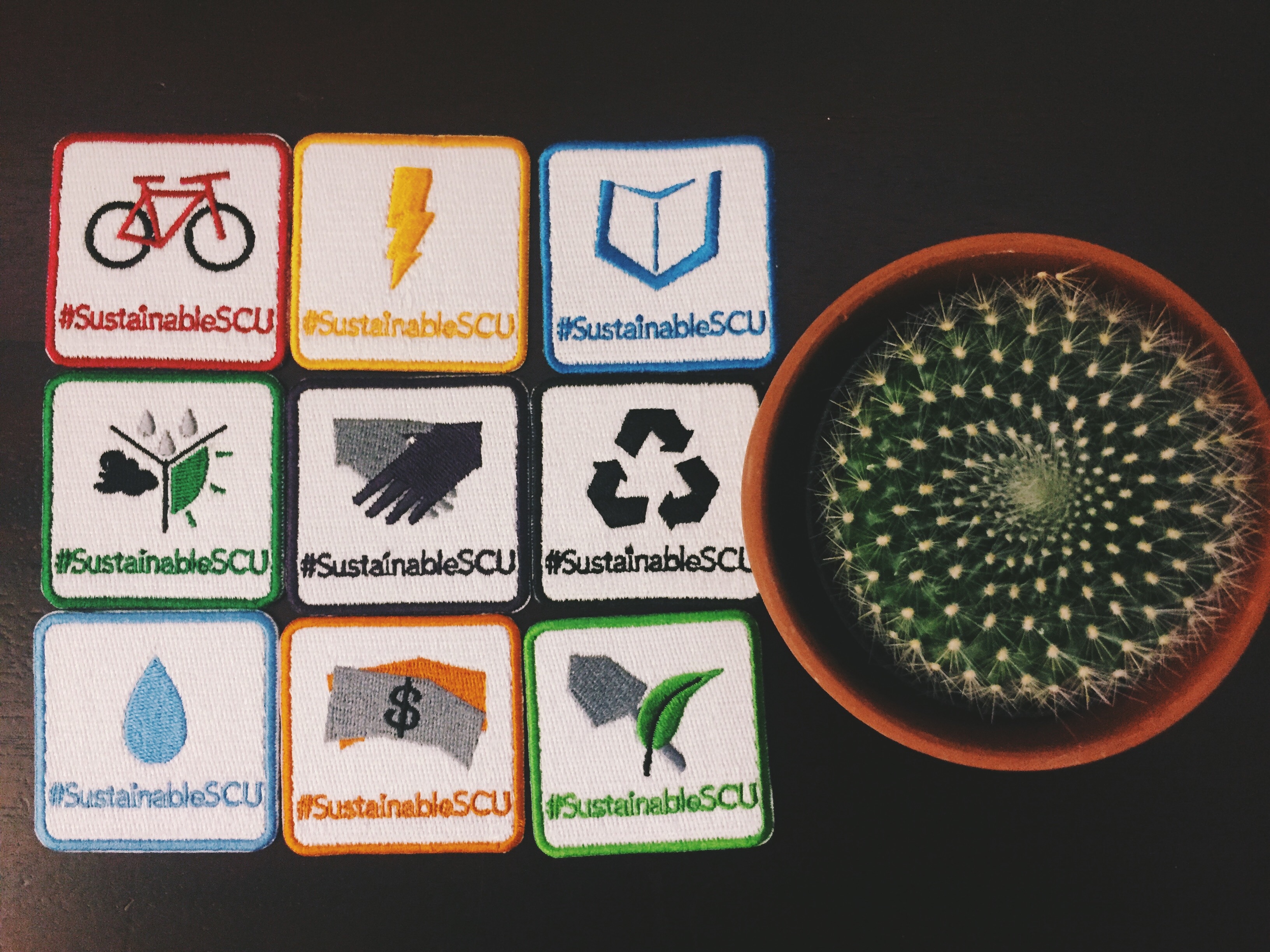 Playbook patches arranged around a small succulent  