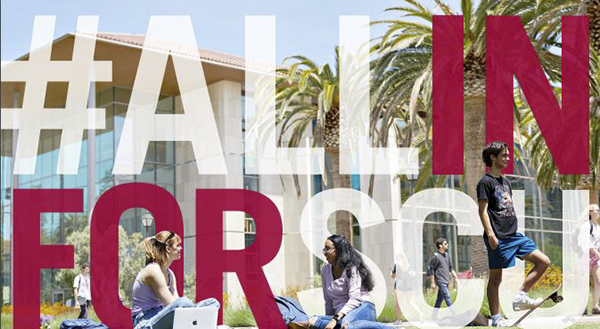 DoG24 Image for Social Media 1