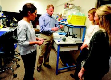 Image links to full content