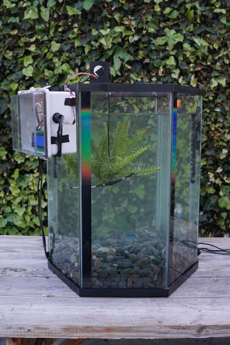 prototype standalone