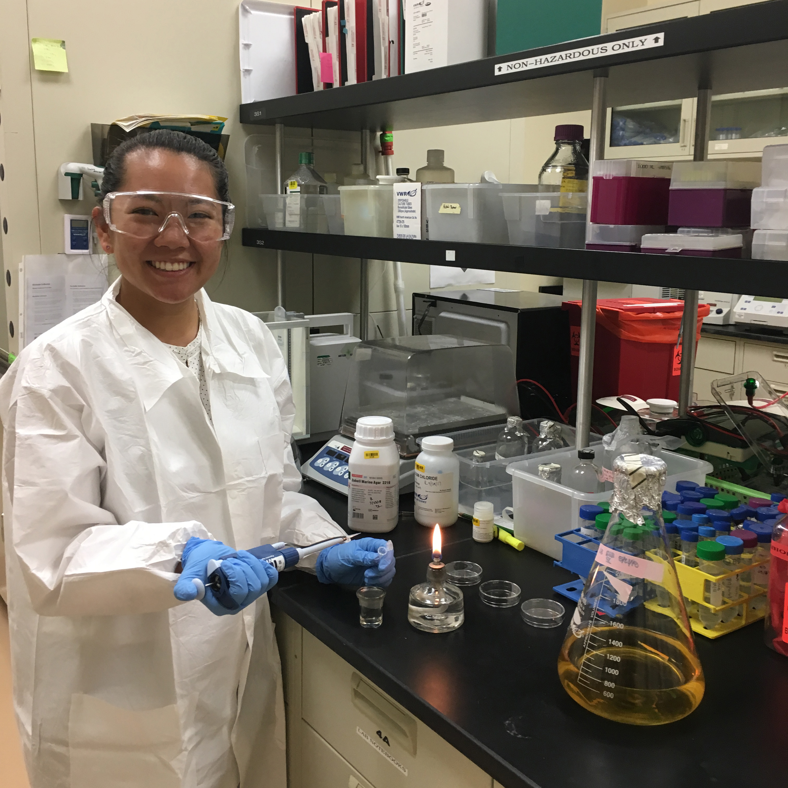 Brie Goo '19  image link to story