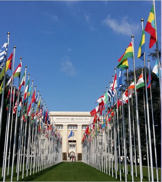 flags of all nations in front of the UN headquarters in Geneva 