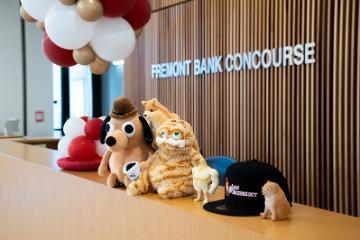 Plushies on info desk 