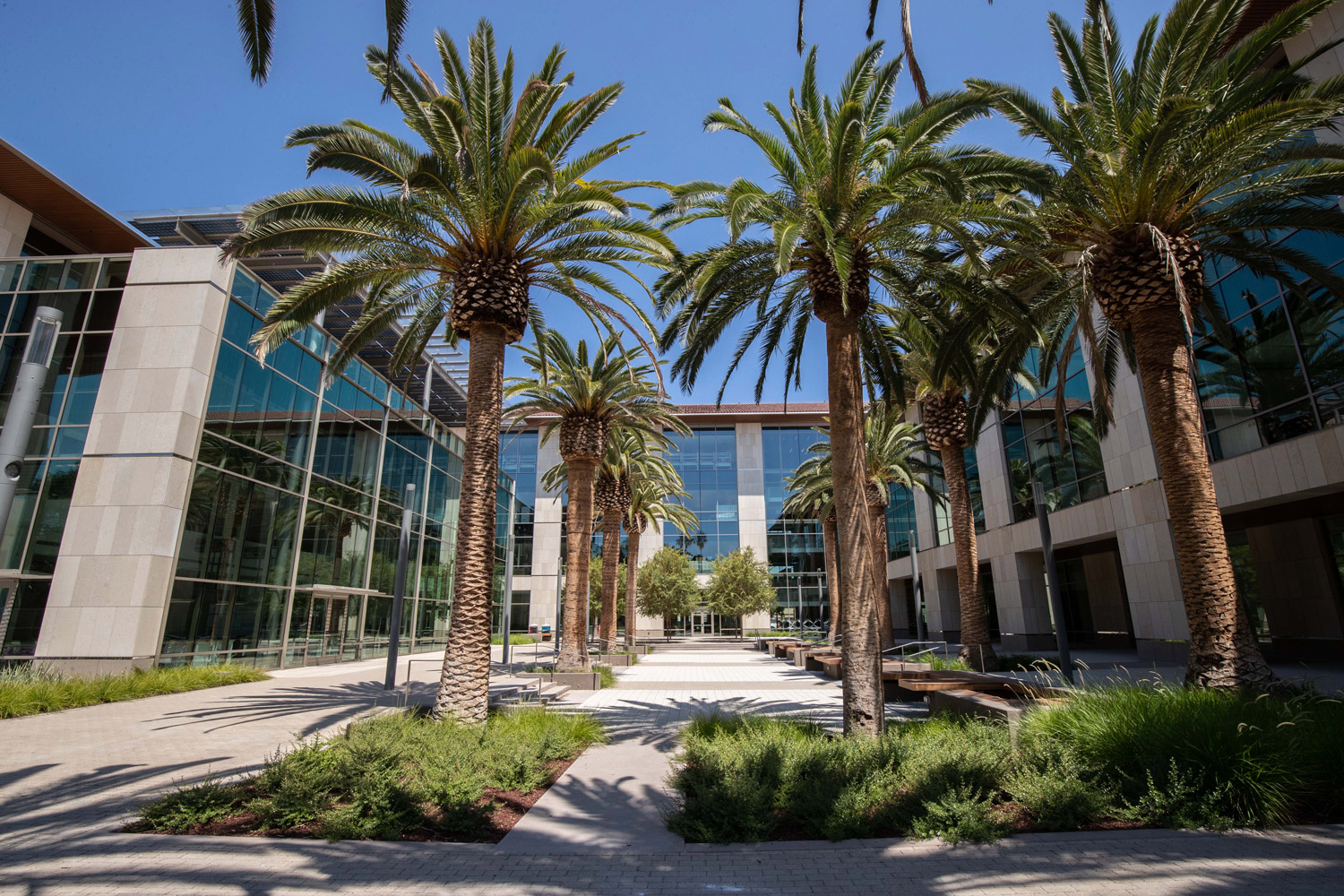 SCDI building courtyard with palmtrees